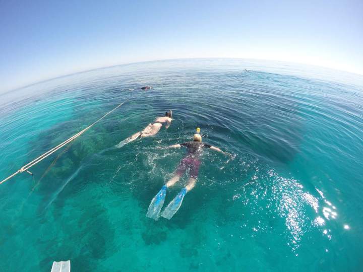 Snorkeling Excursion Mauritius