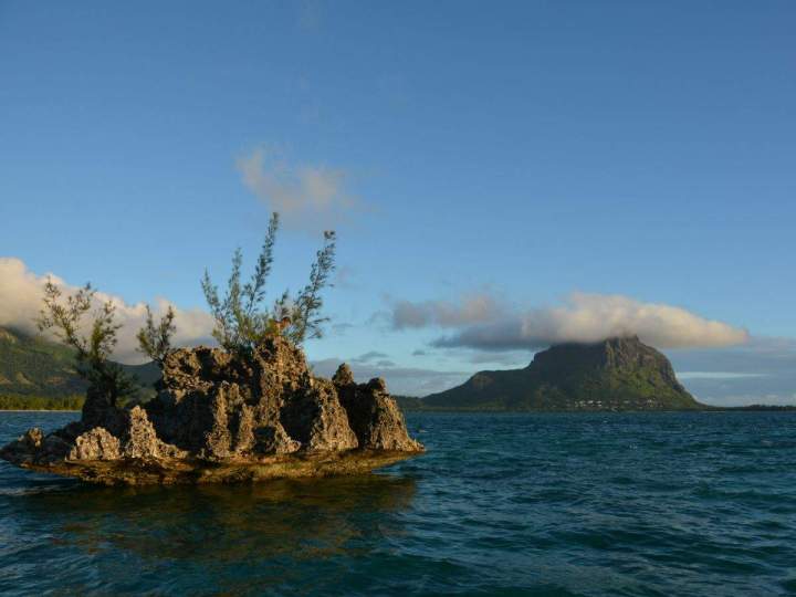 Sortie en mer rencontre des dauphins et découverte du lagon Île Maurice
