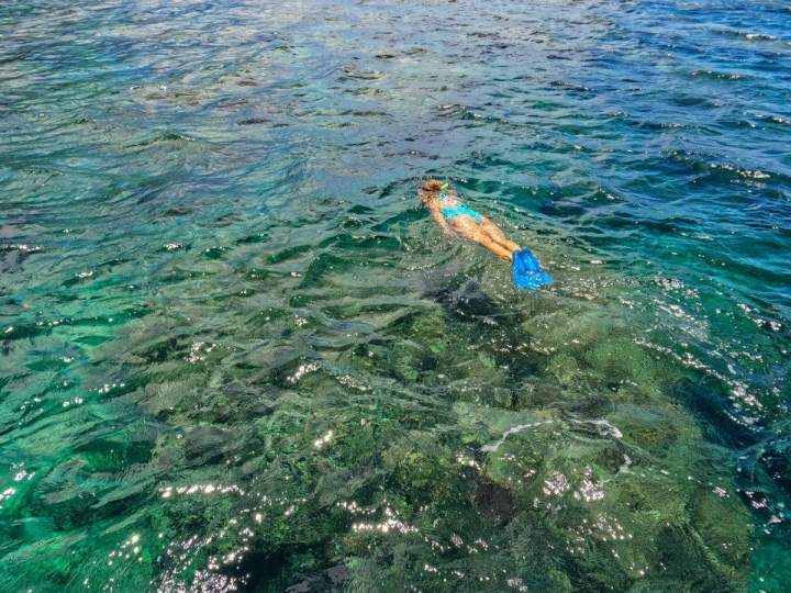 Excursion nage avec les dauphins et découverte du lagon Île Maurice